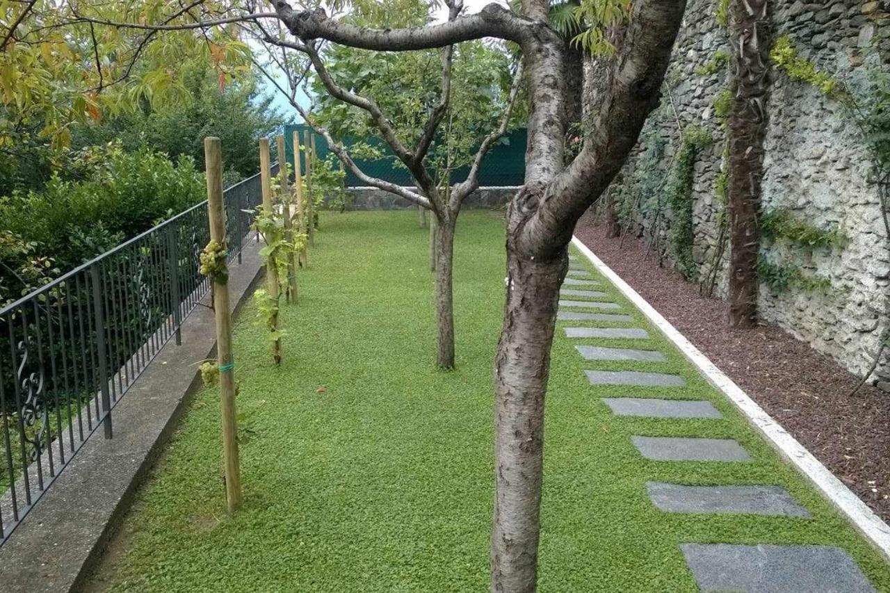 Domus Cusiana Complesso Vista Lago E Piscina Miasino 外观 照片